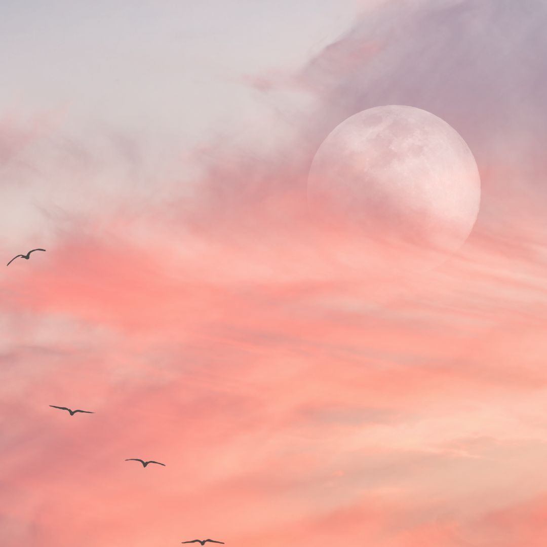 Free MOON MEDICINE Webinar