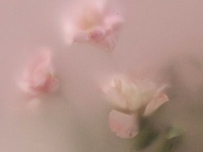 Events & Workshops