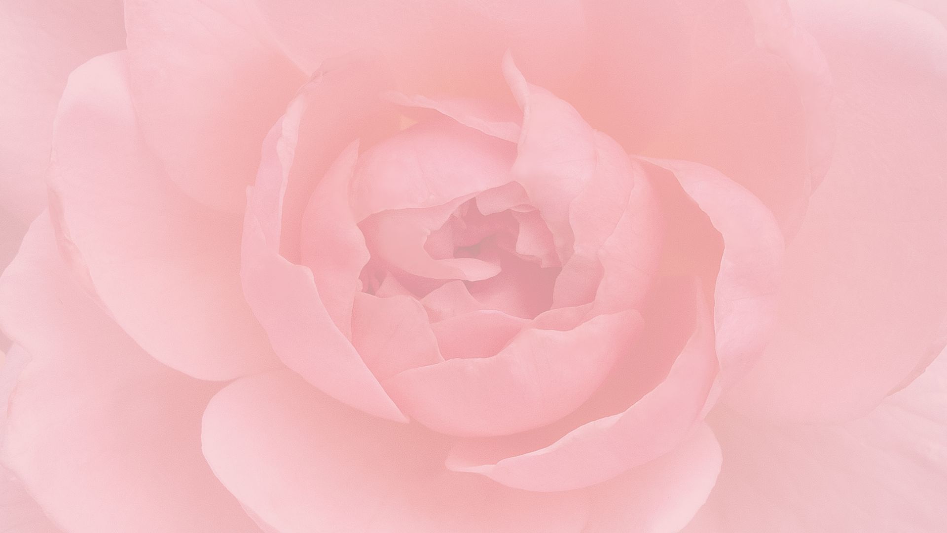Healing Energy, The Ancestral Ties & Past Traumas
