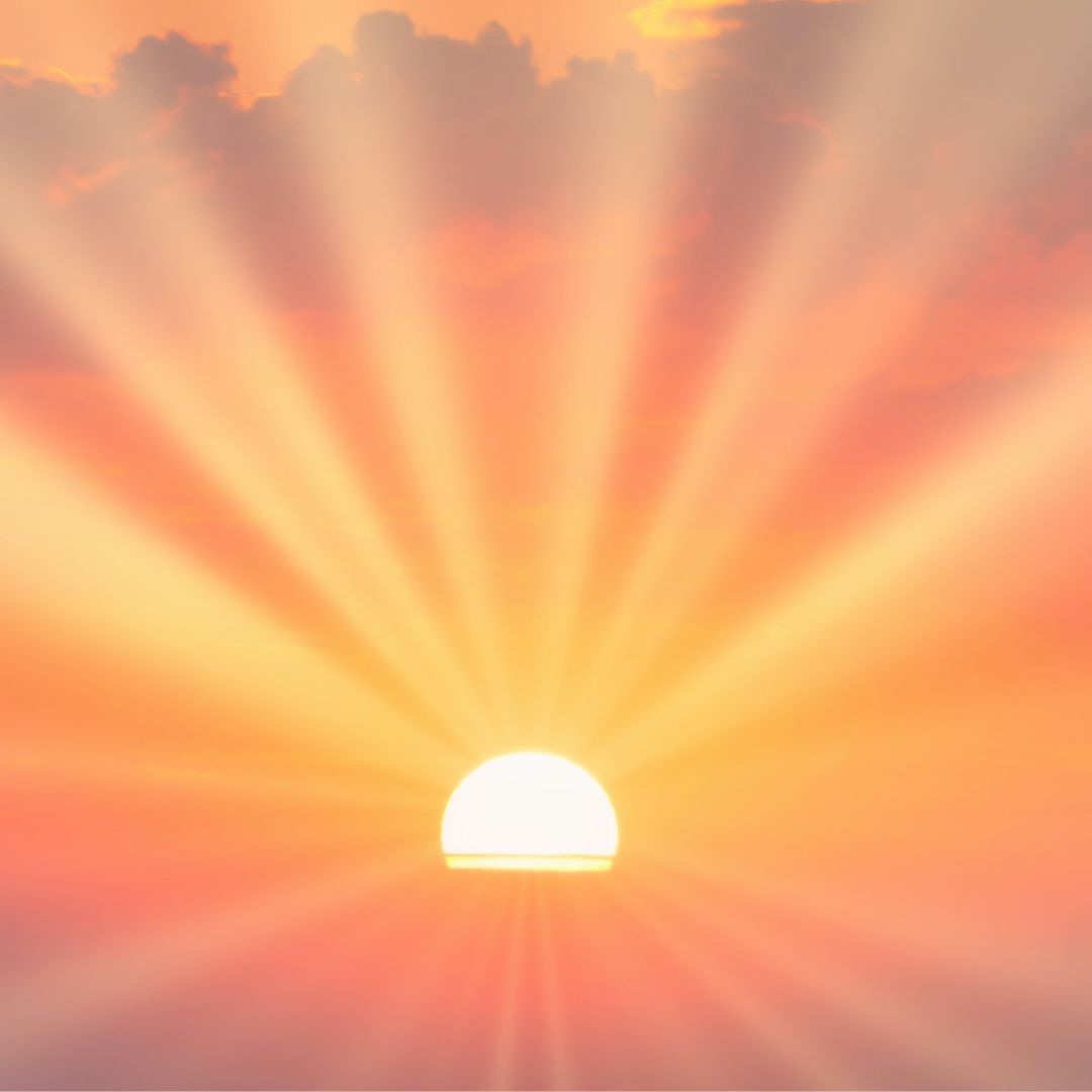 Free REVIVAL OF THE MASCULINE Webinar