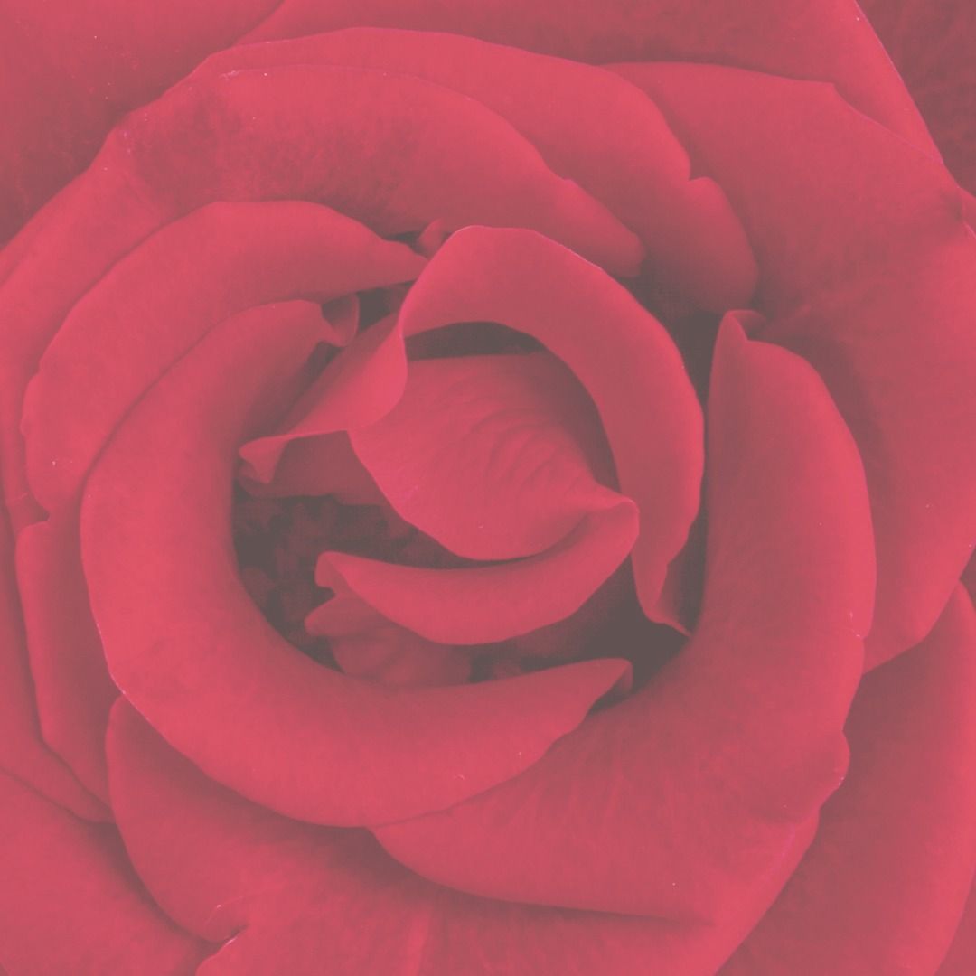 Feminine Harmony Program