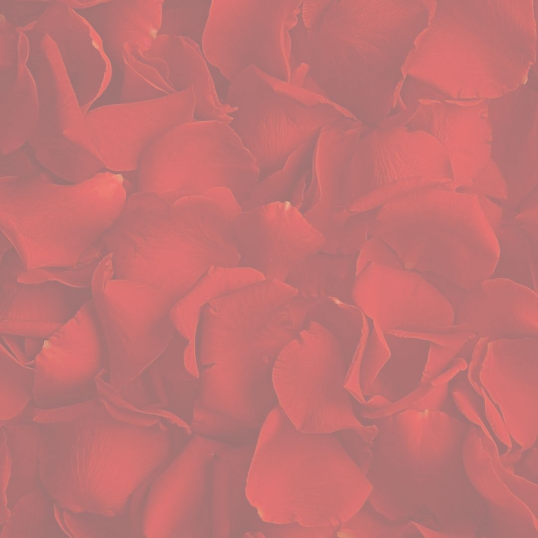 Free WOMB MEDICINE Webinar