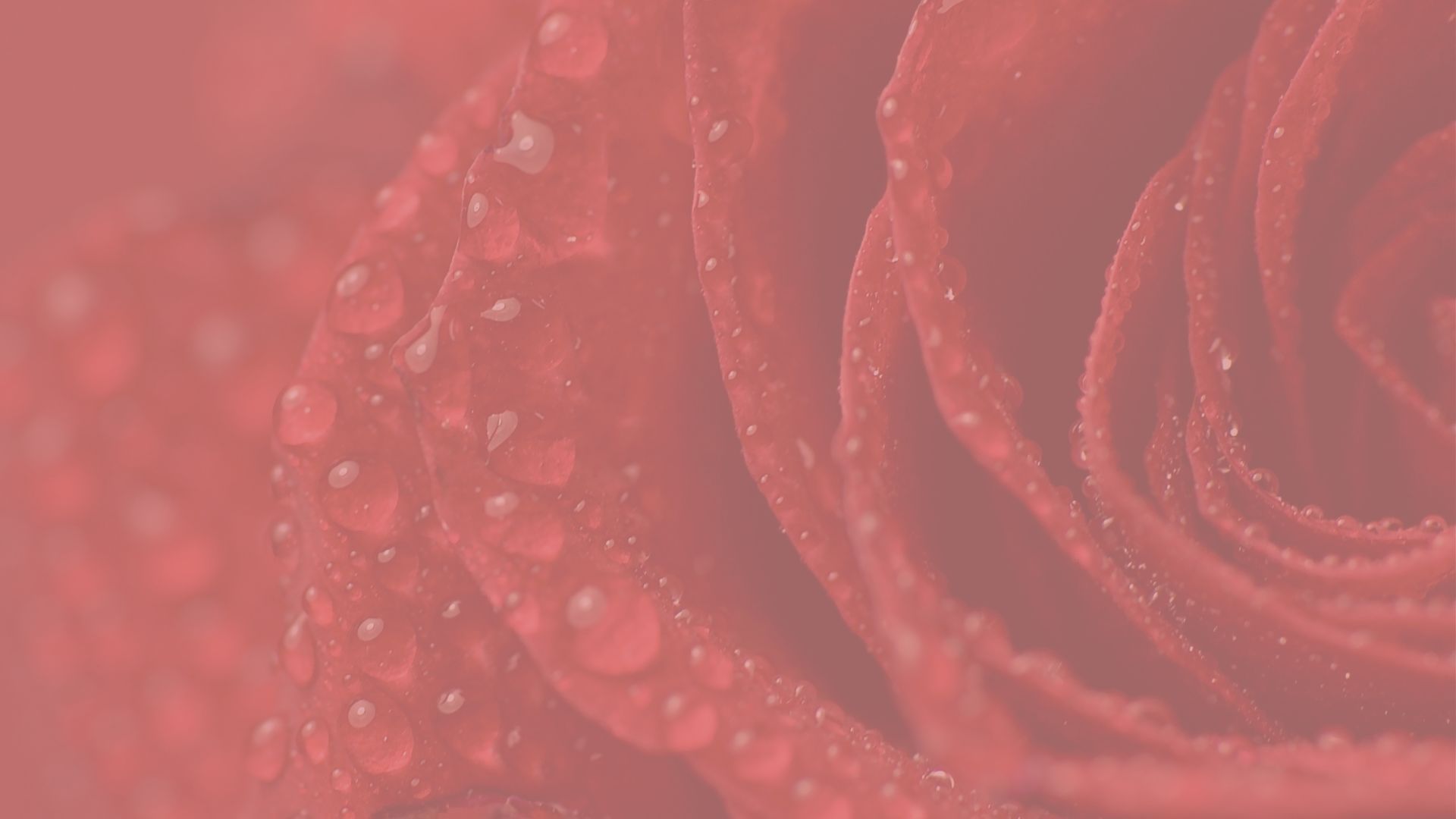 Heart & Womb Practices