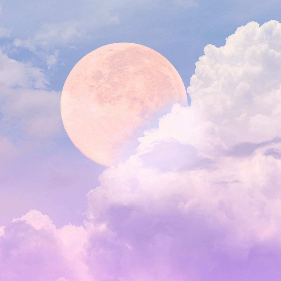 Reiki Introspection