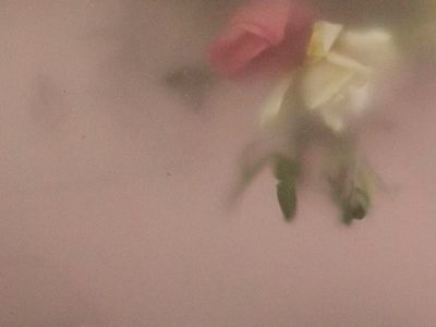 Workshops and events